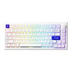 Akko Mod 007B PC Blue On White RGB Kablosuz Hotswap Mekanik Gaming Klavye