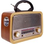 Akkuzu Nostajı Radyo Sarjlı Fenerli Kahverengi YS-3199BT 9955