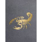 Akrep - Scorpion - Araba - Oto - Motosiklet - Karavan - Cam Sticker 00588 - 50x38 Cm - Altın