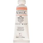 Akrilik Boya Profesyonel Shell Pink (543) 50ML Tüp (Seri A)