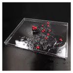 Akrilik Ekran Kutusu, Şeffaf Akrilik Fotoğraf Su Tepsisi, 6/10CM Yükseklik Yaratıcı Çekim Sahne, 100x80x10cm Fotoğraf Depolama ve Vitrin için Vitrin
