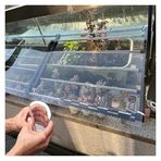 Akrilik Plastik Levha, Şeffaf Akrilik Plastik Levha Polikarbonat Çatı Sayfası, Şeffaf Akrilik Plastik Levha, Shed Çatı Kaplaması, Yağmur Geçirmez UV Koruması, Açık Canopy Carport Soğuk Çerçeve Re için