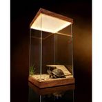 Akrilik Teşhir Kutusu, Kapaklı ve LED Işıklı Dar Akrilik Vitrin, Koleksiyon için Şeffaf Dikdörtgen Saklama Kutusu, Tezgah Vitrini, 50x50x30cm (20x20x12in)