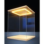 Akrilik Teşhir Kutusu, Koleksiyon ve Model Askerler için Kapılı LED Akrilik Vitrin, Şeffaf Vitrinler 10x10x10, 12x12x12, 30x30x30 cm (40x40x25 cm, 16x16x10 inç) - Vitrin için Mükemmel
