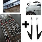 Aksefuar Lazer Citroen Saxo Kapı Eşiği + Logolu Çamurluk Venti Set
