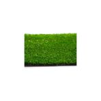 Akseren Yeşil Suni Yapay Çim Halı Serisi 7 mm En 4 Metre - 400 x 330 cm