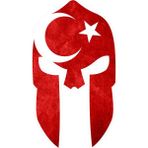Aksesuar Ay Yıldız Türk Bayrağı Miğfer Sticker 15 x 8,5 cm