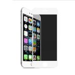 Aksesuarcim iPhone SE 2022 Hayalet Ekran Koruyucu Tam Kaplayan Koruma Cam Rika Privacy Siyah