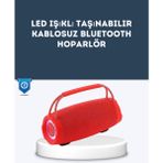 Aksiyon Global Tf Kart ve Aux Destekli Ipx6 Suya Dayanıklı Bluetooth Hoparlör ( Lisinya )