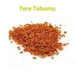 Aktar Diyarı 100 gr Tere Tohumu