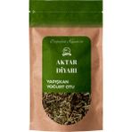 Aktar Diyarı Yoğurt Otu 250 gr - 1 Adet