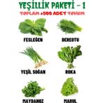 Aktar Dünyası Yeşillik Paketi-1 Fesleğen, Dereotu, Soğan, Roka, Maydanoz, Marul Tohum Seti, Toplam +500 Adet Tohum - 6 Adet