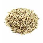 Aktar Store 100 gr Cin Elması