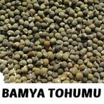 Aktarix 100 gr Bamya Tohumu