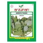 aktarix Arzuman Semizotu Tohumu 10 Gr Semiz Otu