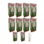 aktarloji 10 Adet E14 Duy Tuz Lambası Ampülü 10 Watt