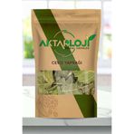 aktarloji 100 Gr Ceviz Yaprağı / Yeni Mahsül - Katkısız & Doğal
