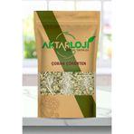 aktarloji 250 gr Çoban Çökerten Otu - Tribulus Terrestris ( Demir Dikeni Otu ) – Katkısız & Doğal