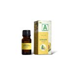 Aktarzane Avokado Yağı Avakado Yağı 20cc