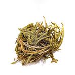 Aktarzane KURT PENÇESİ OTU KİBRİT OTU 50GR