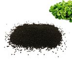 Aktarzane SEMİZOTU TOHUMU 30GR