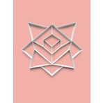 Aktastore Puzzle Kurabiye Kalıbı Ve Şeker Hamuru Kalıbı