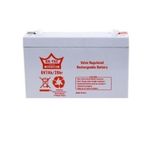 Akü (Akülü Çocuk Arabası) 6 V 7 Ah Ortec BSK-04246