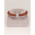 Akuamarin Taşlı Rudraksha Tohum Bileklik 8mm