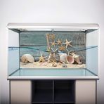 Akvaryum Arka Plan, Sürüngen Aksesuarları 3D Etkisi Yapışkan Deniz Kılıfı Poster Poster Terrarium Arka Plan Terraryum Arka Plan Akvaryum Balık ı Dekorasyonu (61 * 41CM) (91 * 50CM) (122 * 46cm)