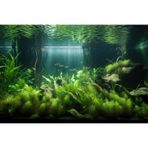 Akvaryum Arka Plan Yemyeşil Su Bitkileri ve Seagrasses Teraryum Arka Plan Kaya Kumları Ile Deniz Manzarası Altında Balık Tankı Arka Plan İnanılmaz Akvaryum Arka Plan Poster Vinil 91,4 x 60,94 cm