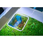 Akvaryum Balık Besleme Halkası - 15X15 cm Yüzen Kare Yemleme Alanı | Bitki Ayırıcı Çerçeve - Beyaz