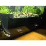 Akvaryum Balık Saklanma Tüneli 24X7.2x5.5 Cm Pla Malzeme Güvenli & Dekoratif Mağara