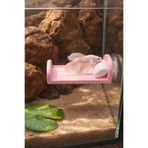 Akvaryum Beta Dinlenme Alanı Pembe Mini Yastıklı Yatak