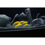 Akvaryum Kumu 1 kg Bazalt ( 3-4 mm )