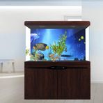 Akvaryum P, Dekoratif Balık Terrarium Su Geçirmez Arka Plan Duvar Sticker PVC Kendinden Arka Planlar PVC Yapışkan Statik Yapış Duvar Kağıdı Çıkartması Resim Dekorasyonu (122 * 50CM)