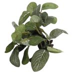 Akvaryum Sanat Bitkisi Hayata Dönüş Plastik Su Çim Dekorasyon Balık ı Için Dekorasyon Karşıtı Boyama Dekoratif Sualtı Bitki Süslemesi (Sandwood 3leaf Yonca) (Batık ahşap oval yaprağı)