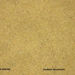 Akvaryum Sarı Silis Kum 0,1 Mm 1 Kg Deniz Kum İnce