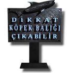 Akvaryum Süsü Dekoru Dikkat K.b Çıkabilir 12 cm