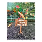 Akvaryum Tabela Dekoru Balık Tutmak Yasaktır 6x5 Cm Suya Batan Model Tbl-65-yasak, One Size