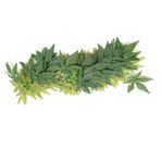 Akvaryum Ve Terrarium Için Hayata Çift Yeşil Yapay Bitki 30cm - Kullanımı Kolay Enayi Ile Güvenli dayanıklı Sahte Yapraklar - Balık tankı Ve Sürüngen Süslemeleri Için (12 inç 30 cm) (16 inç 40 cm)