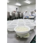 Akyüz Plastik 🧀Silindir Teker Peynir Süzme Kalıbı 33 cm x h: 11 cm - 2 ADET