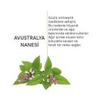 Al-Kar Ticaret Avustralya Nanesi Özlü Koku Önleyici Ağız Bakım Damlası, 20ML (4 Paketi) - 1 Adet