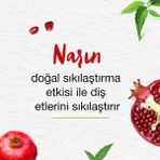 Al-Kar Ticaret Himalaya Since 1930 Komple Bakım Bitkisel Diş Macunu, Florürlü, Parabensiz, Vejeteryan, Güçlü Dişler, 75 ml - Option-1