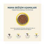 Al-Kar Ticaret Kuru Yetişkin Kedi Maması - Besleyici Vitamin Ilaveli Tam ve Dengeli Mama (1,2 Kg, Tavuk) (2 Paketi) - 0,01 gr