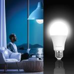 Al-Kar Ticaret LED E27 Lamba, Beyaz Işık 4,9W 515LM 6500K - 0,5 W - Altın