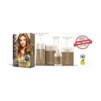 Al-Kar Ticaret Maxx Deluxe Beauty Expert Haır Color (Keratin)'li 1 Kutu (2 x 50 Ml) (Altın Karamel 8.73) - Adaçayı Yeşili