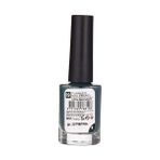 Al-Kar Ticaret Nail Flawless Oje 19 Succulent, Gri (2 Paketi) - Option-1