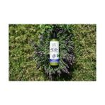 Al-Kar Ticaret Petal Fresh Lavanta Özlü Yatıştırıcı El ve Vücut Losyonu, 355 ml (2 Paketi) - Option-1