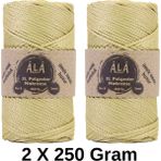 Ala Depo 2 Adet Xl Polyester Makrome No:6 (Kalın) Çanta Ipi 2X250 Gram (Toplam 500 Gram) - Safran
