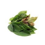 Alanya Fidan Taze avokado yaprağı 200 gr